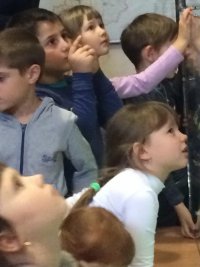 IMG-20181108-WA0037