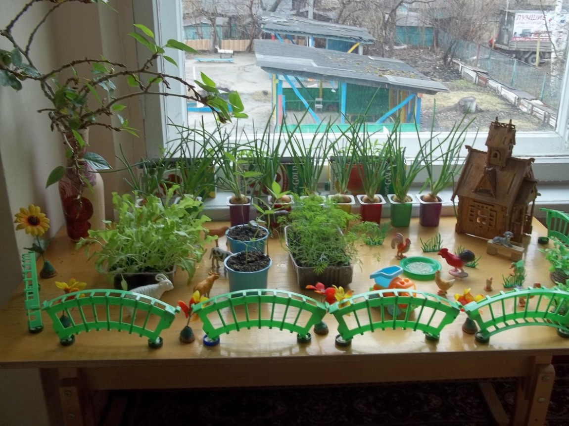 Конкурс сад на окне. Огород на окне в детском саду. Огород на подоконнике в детском саду. Детский огород в детском саду. Огород на окошке в детском саду.